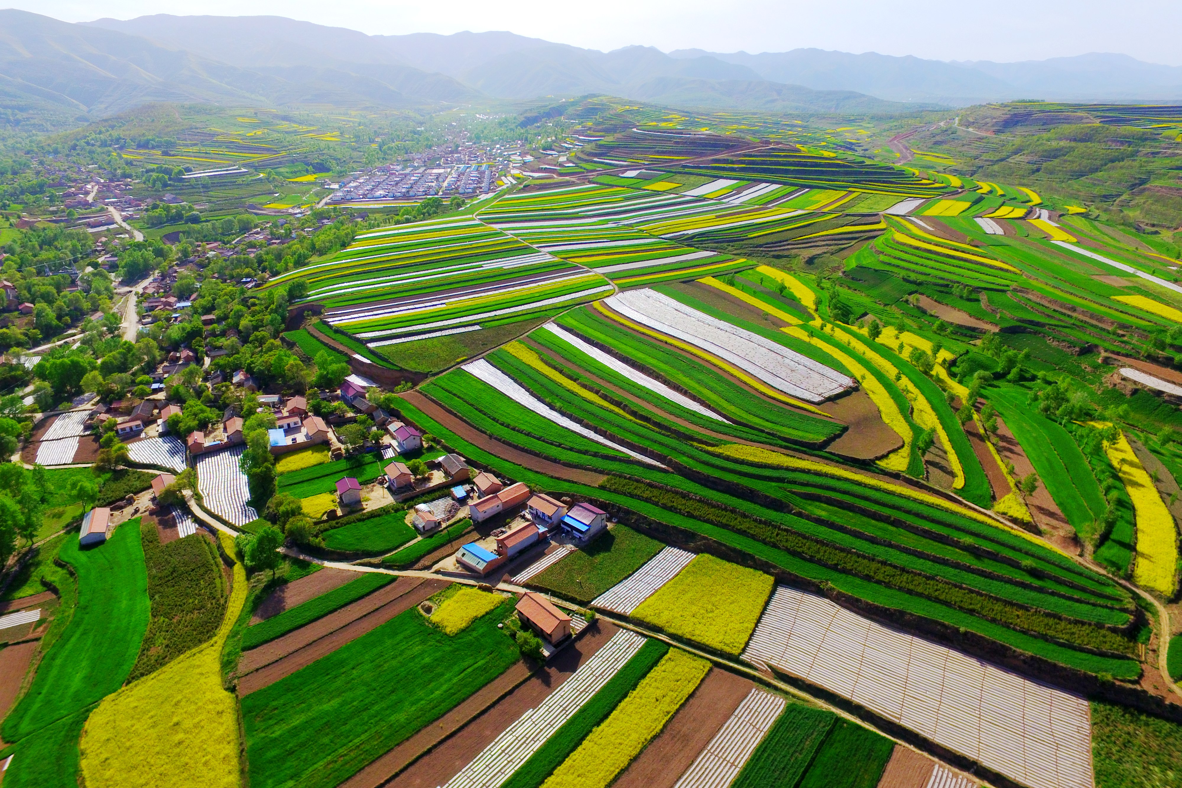 固原梯田 (2).jpg
